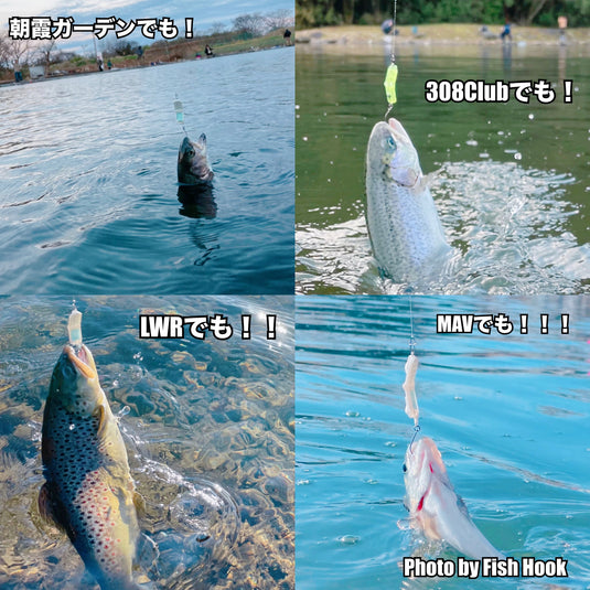 Sula Sula ガラスプ 約1.1g / Sula Sula Galapagos Cell Phone Spoon Approx. 1.1g