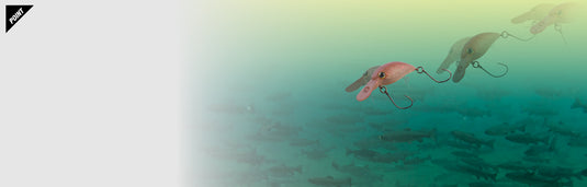 ティモン ちびパニクラ (DR) (DR-SS) / TIMON Chibi PaniCra (DR) (DR-SS)