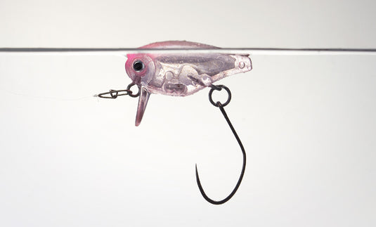 エバーグリーン キラーバグ23 / Ever green Kikker Bug 23