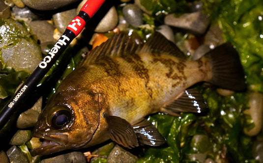 フエルコ MG700R-5S / Huerco MG700R-5S