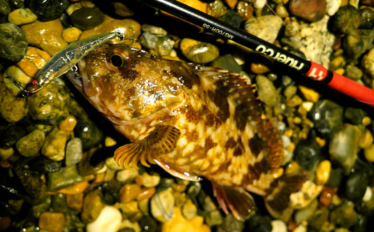 フエルコ MG700R-5S / Huerco MG700R-5S