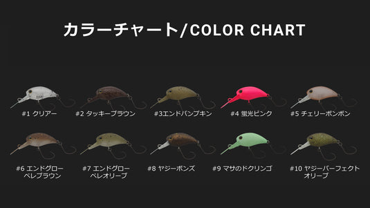 ティモン キビパニMR/Timon KIBI Pani MR