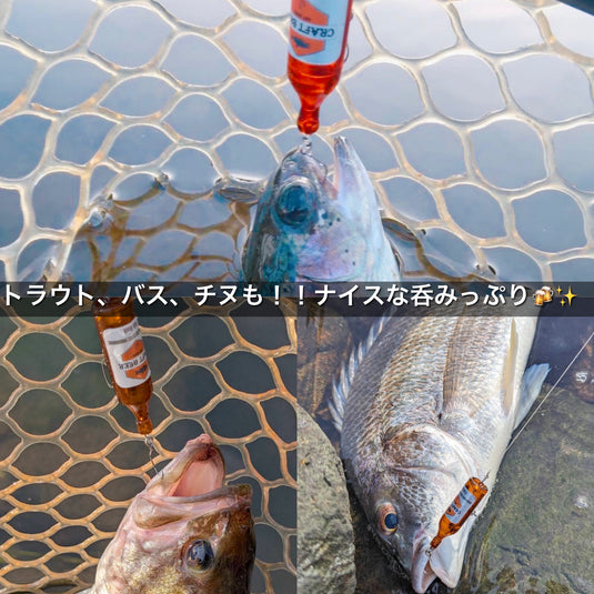 【ご予約商品】(2025年8月中旬〜下旬ごろお届け予定) The Bottle 3DP 48mm 4.0g ぼっこす & Fish Hook エール Ver.