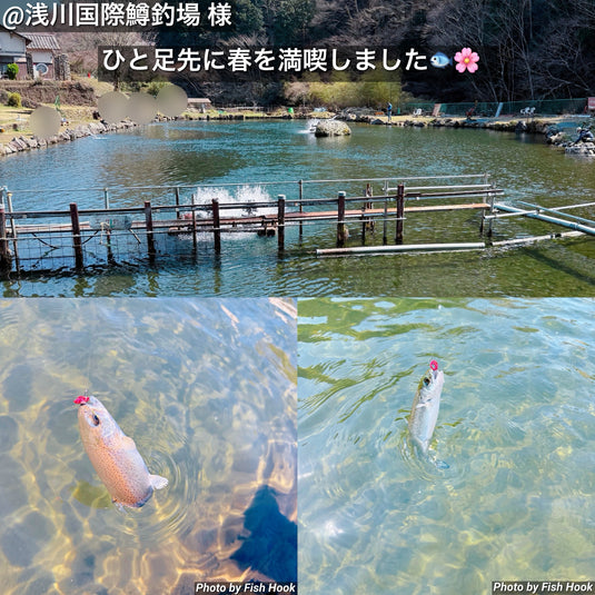 【Fish Hook オリジナル】ロブルアー バベル 水天夢桜 / 【Fish Hook 0riginal】Rob Lure Babel  Series