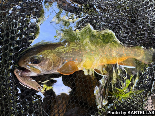 カルテラス ウルキ 40 1.4g / KARTELLAS Uruki 40 1.4g