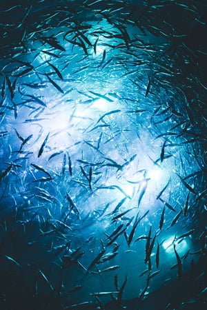 マジックジャーク&グリグリジャークに挑戦！