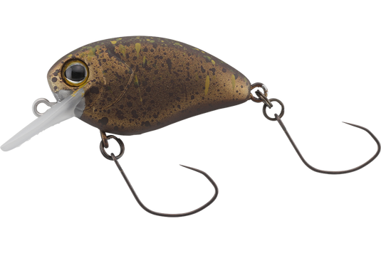 ティモン フラパニ / TIMON FlaPani